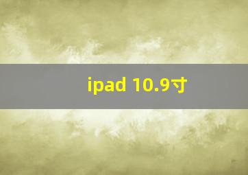 ipad 10.9寸